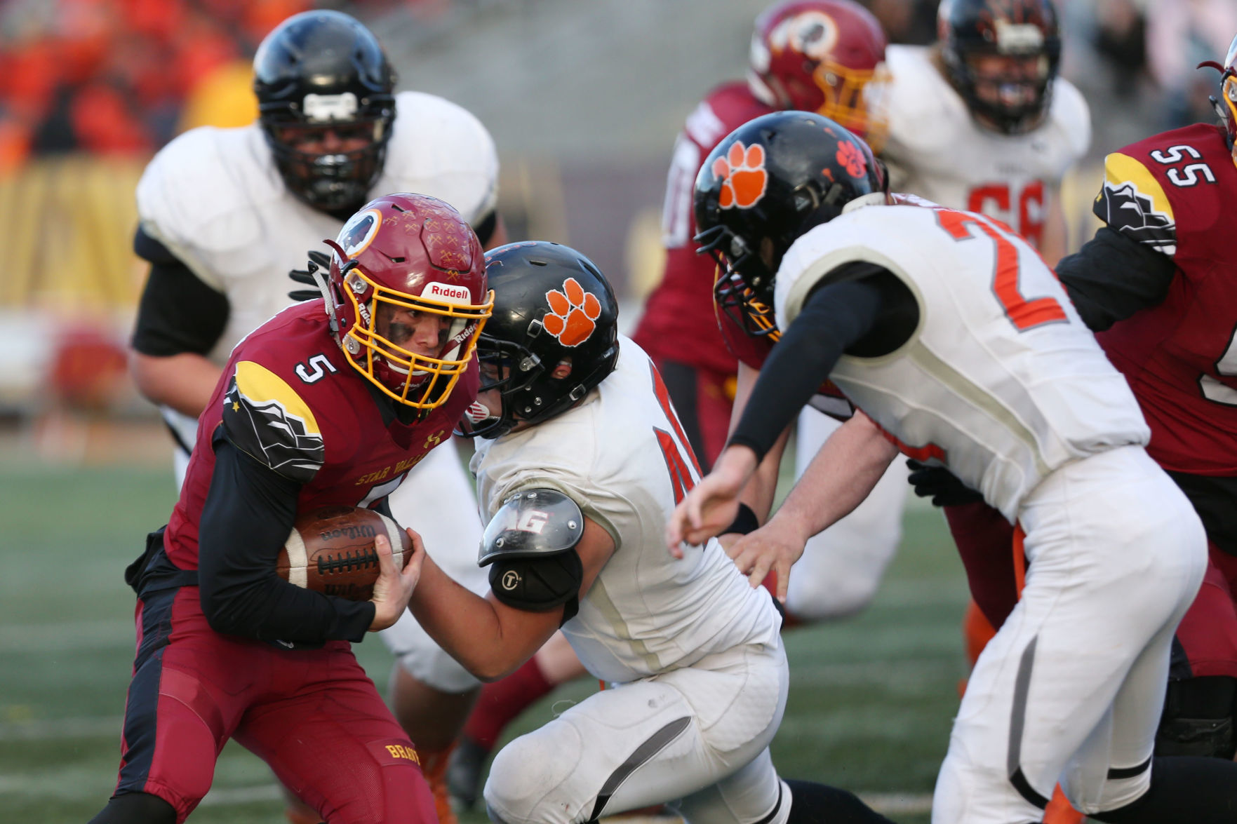 Powell v Star Valley